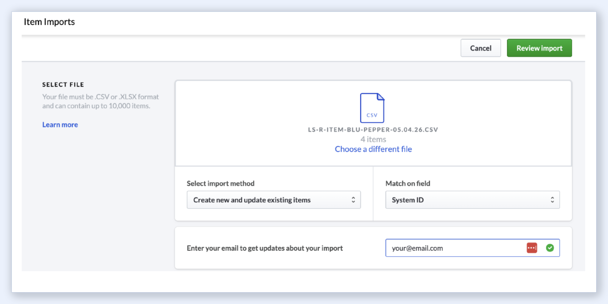 Lightspeed R Series Item Import with CSV loaded and Review Import button