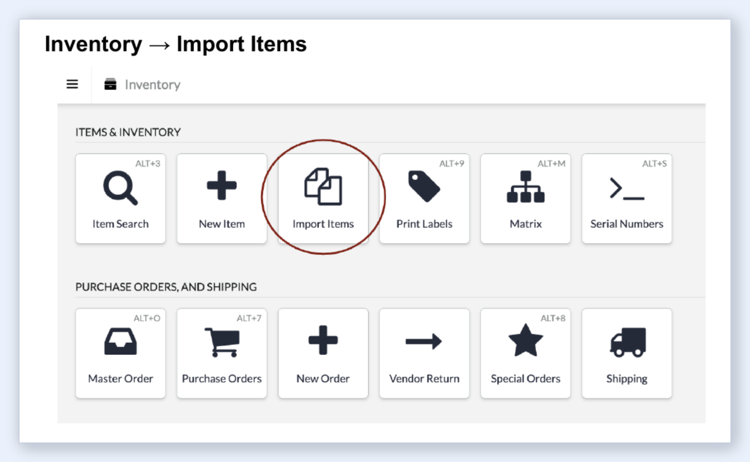Lightspeed R Series Inventory menu with Import Items highlighted