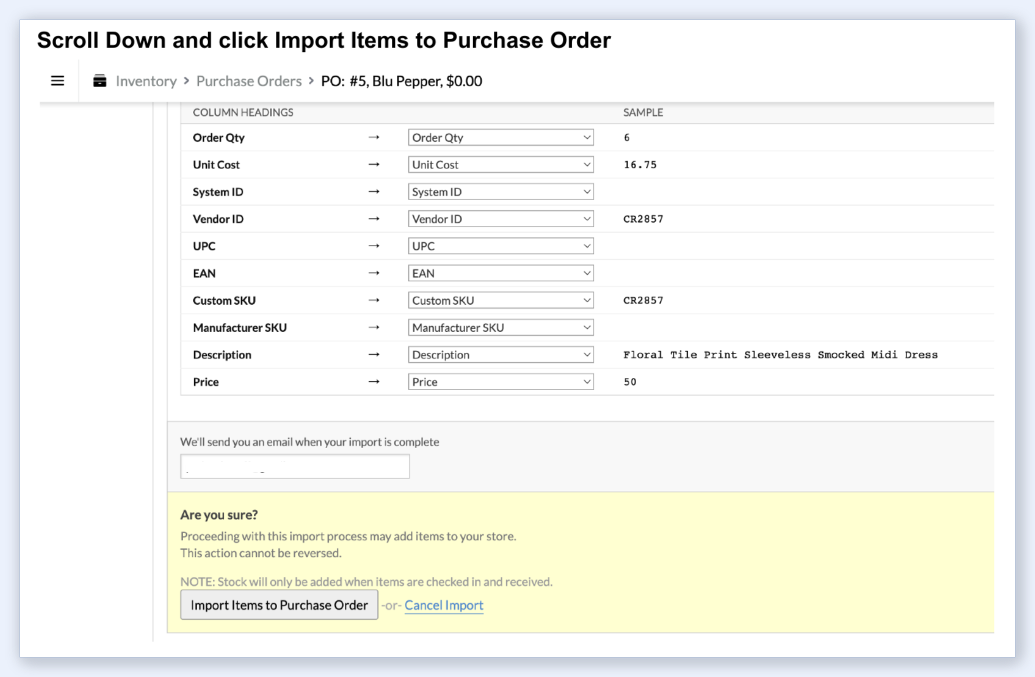 Lightspeed R Series Purchase Order column mappings and Import button