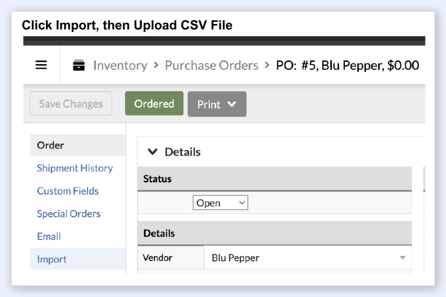 Lightspeed R Series Purchase Order with Import tab selected